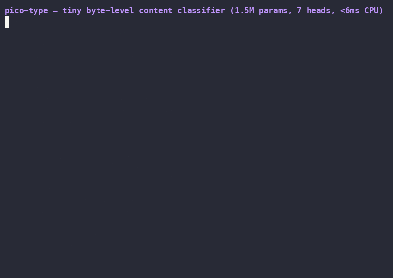 pico-type CLI demo — classifying Python, JSON, French, Hindi, SQL, errors, API keys, and PNG headers